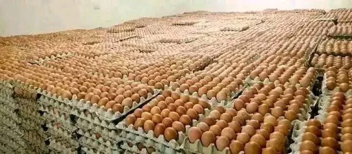 Eggs Crate (30 Pieces)